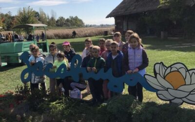 Излет у организацији Заједничког већа општина: Засавица-Бајка у зеленом (1. и 2.разред)