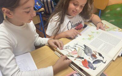 Енциклопедија-књига свих знања